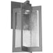 Quad LED Argento Grey Outdoor Sconce in Clear with Hammered Texture, Lantern
